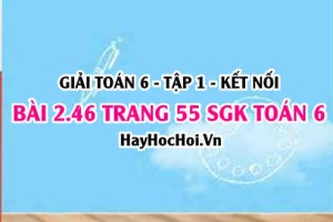 Giải bài 2.46 trang 55 Toán 6 Tập 1 SGK Kết nối tri thức